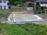 DSC_1516.jpg