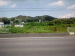 DSC_0278.JPG
