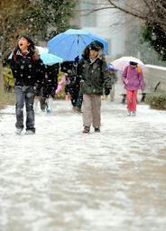 東京に初雪♪