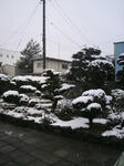 P1000612.JPG