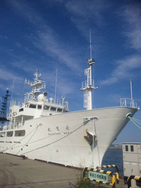 120622_160247.jpg