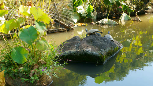 DSC00213.jpg