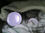 20070628110737.jpg