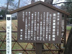 SN3S0675.jpg