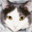 ほどほど同盟