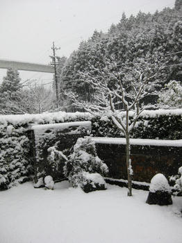 IMG_2428_SP0000.JPG