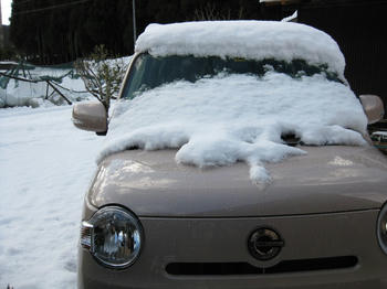 IMG_2505_SP0000.JPG