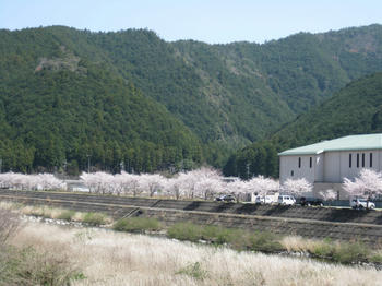IMG_2589_SP0000.JPG