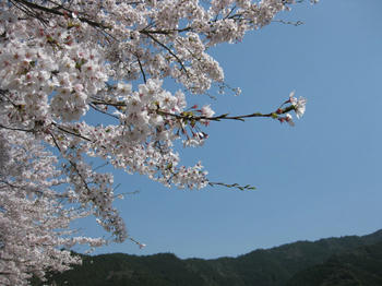 IMG_2595_SP0000.JPG