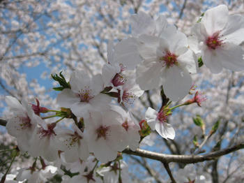 IMG_2597_SP0000.JPG