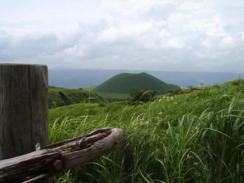 f9bc0417.jpg