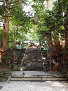 36a6558c.jpg