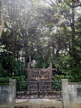 aff92844.jpg