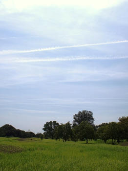 e80c09e4.jpg