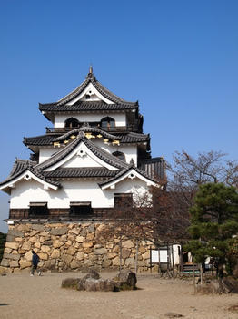 PB041216copy.jpg