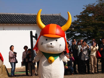 PB041240copy.jpg