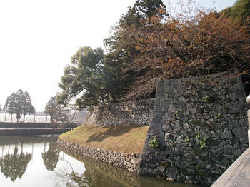 PB041207.JPG
