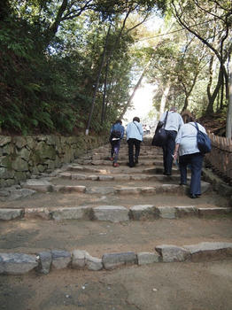 PB041208copy.jpg