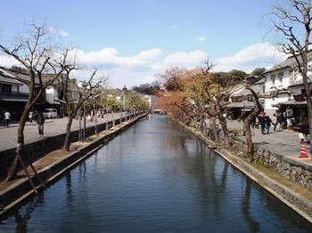 P3310095c.jpg