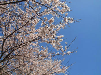 cP4080334.jpg