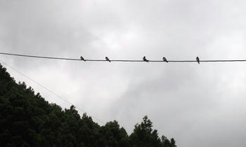 P7110839.JPG