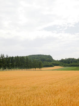 P7280510.JPG