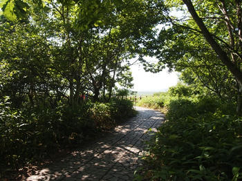 cP7260206.jpg