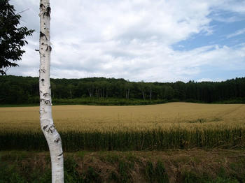 cP7250049.jpg