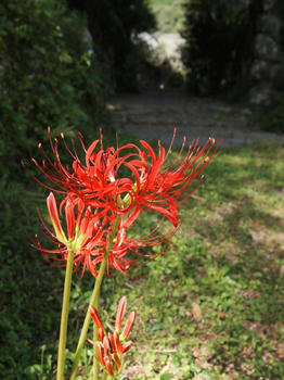 cP9240032.jpg