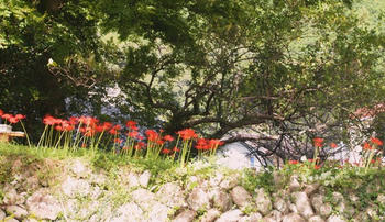 cP9240033.jpg