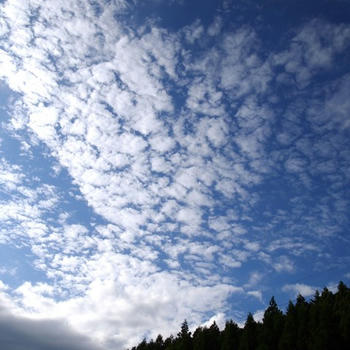 PA030022.JPG