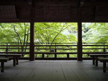 cP6091321.jpg