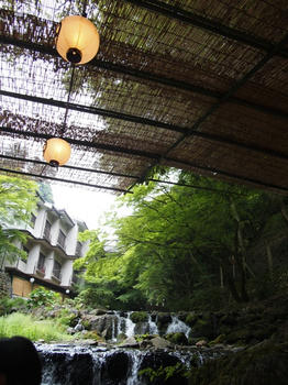cP6091411.jpg