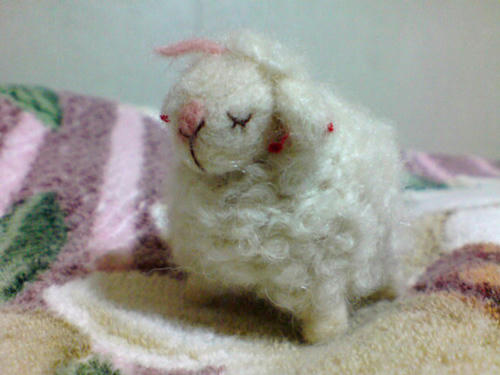 20100824223144.jpg