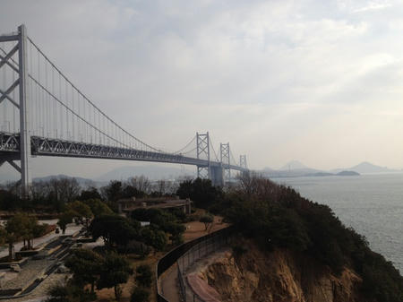 IMG_0331.jpg