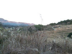 DSCF3434.JPG