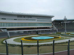 DSCF3536.JPG