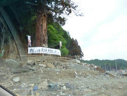 P1000176.JPG