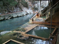 DSCF3479.JPG