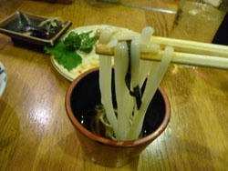 P1000419.JPG