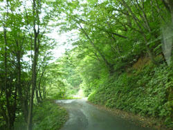 P1000490.JPG