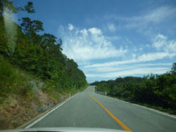 P1000441.JPG