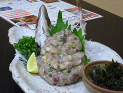 P1000581.JPG