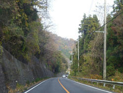 P1000671.JPG