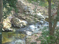 P1000833.JPG