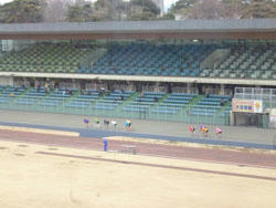 P1000928.JPG