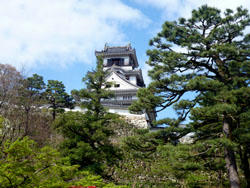 P1010177.JPG