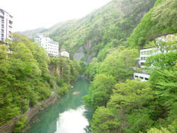 P1010274.JPG