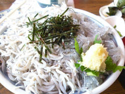 P1010604.JPG