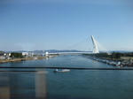 IMG_3751ss.JPG